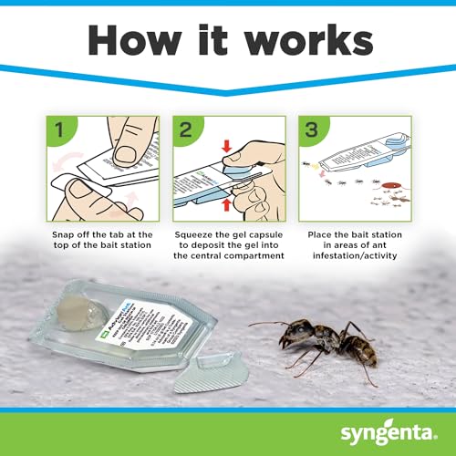 Syngenta Advion Ant Gel Station Insecticide, Ready-to-Use Gel Bait with The Active Ingredient Indoxacarb, Ant Bait for Use Indoor and Outdoor, 3 Boxes (9 Total Stations)