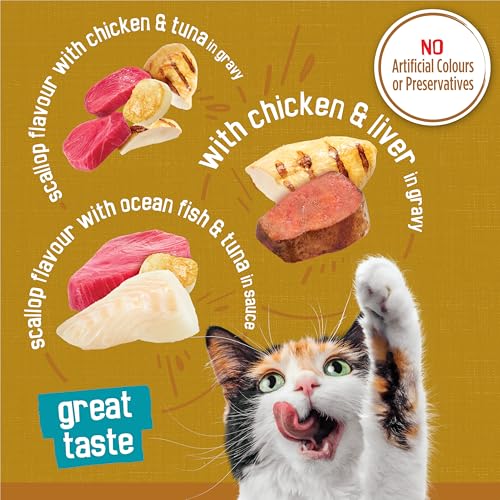 Friskies Tasty Treasures Wet Cat Food, Poultry & Fish Combo Variety Pack 3 Flavours - 156 g Can (24 Pack) image 2