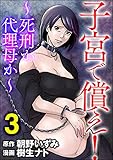 子宮で償え! ~死刑か代理母か~ (3) (ストーリーな女たち)