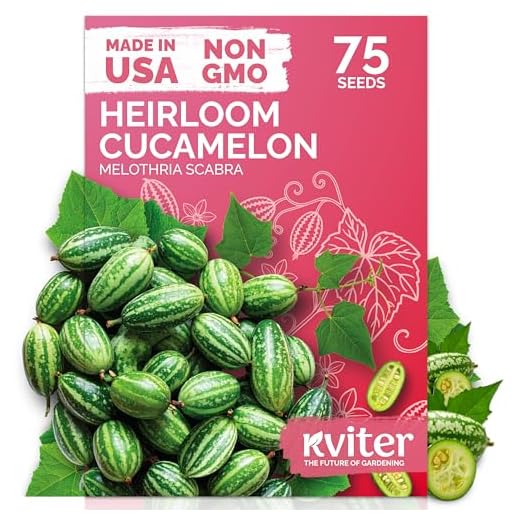 KVITER 75 Cucamelon Seeds for Planting (Melothria Scabra) – Mexican Sour Gherkin Seeds, Gherkin Cucumber, Mexican Mini Watermelon – Heirloom Vegetable Seed for Outdoor & Indoor Garden, Containers
