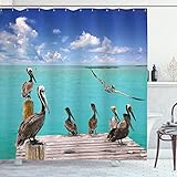 Ambesonne Landscape Shower Curtain, Tropical Sea View with Exotic Birds Pelicans Caribbean Beach Tranquil Photo, Cloth Fabric Bathroom Decor Set with Hooks, 69