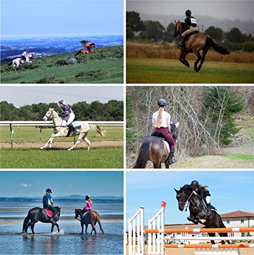 Lim's Genuine Italy Leather Camera Half Case Metal Grip Dovetail Plate For Leica Q2 (Typ 4889) Black #TOP4