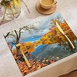 tapetes para sala em rio preto Material De Alta Calidad y Funcionalidad：Nuestros Manteles Están Elaborados Con Lino y Algodón de Alta Calidad, Ofreciendo Suavidad, Durabilidad y Resistencia a las Arrugas. Su Tejido Protege la Mesa Contra Manchas, Arañazos y Daños Por Calor. Son Lavables y Antimanchas, Proporcionando Manteles Individuales Resistentes, Duraderos y Fáciles de Mantener Para Uso Diario