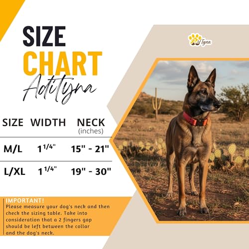 Image of ADITYNA Leather Dog Collar for Medium & Large Dogs, Adjustable 15-21 inch Neck | Padded, heavy-duty metal buckle. Great for walking, training and hiking - ideal for Labrador, Boxer, Pitbull and Collie.