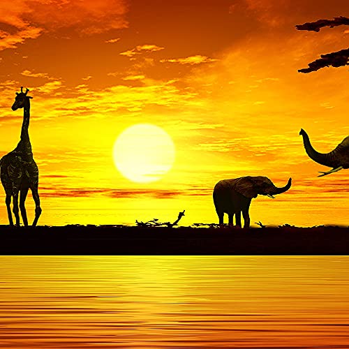 Runa Art Wandbild Afrika Sonnenuntergang 1 Teilig 100 x 40 cm Modern Bild auf Vlies Leinwand Giraffe Elefant Wohnzimmer Schlafzimmer Orange 000212a