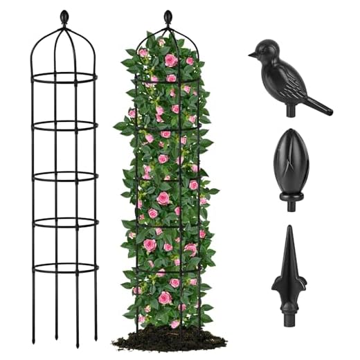 21+ Enchanting Elements for a Gothic Garden Makeover 6 Garden Obelisk Trellis for Climbing Plants Outdoor 6.7 Ft Rose Bush Round Trellis for Pots Rustproof Metal Plant Flower Trellises for Clematis Vine Jasmine Support Outdoor Indoor