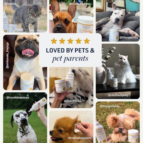 Image of Veterinary Formula Clinical Care - Ear Therapy - Vet Recommended Ear Cleaner for Dogs & Cats that Helps Manage Stinky Buildup and Support Daily Health - 8 oz.