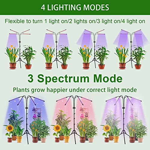 Grow Lights For Indoor Plants Full Spectrum,80Leds Plant Light For Indoor Plants With 15"-60" Adjustable Tripod,4 Hea #TOP4