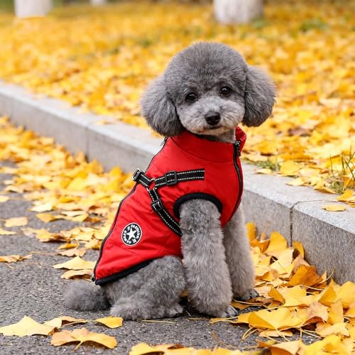 Hundemantel Winter mit Geschirr, Warme Hundejacke für Kleine Hunde, Wasserdicht, Reflektierend, Rot M, Hundemantel Für Kleine Hunde, Ideal Wintermantel Hund für kalte Tage, Hundejacke Wasserdicht