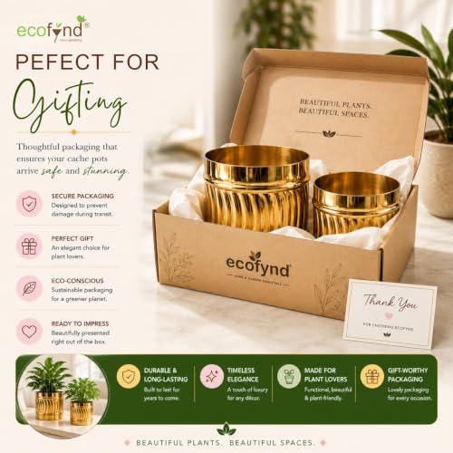 Image of ecofynd 2 Pack Metal Plant Pots (6 inch, 7 inch L), Indoor Small Planter Flower Pots, Home Garden Decor Planter for Living Room Bedroom Interior (Gold Finish, POT050)