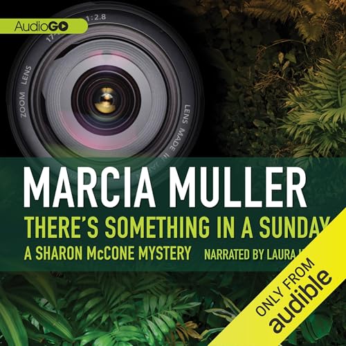 Couverture de There's Something in a Sunday