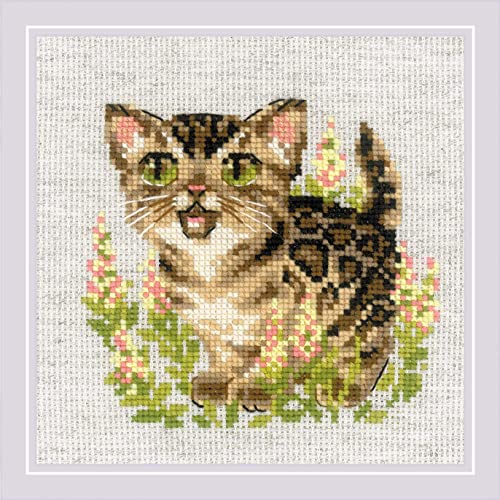 Image of RIOLIS - Bengal Kitten 2119, Cross Stitch Kits 6 inch x 6 inch, Cross Stitch Kits for Beginners & Advanced, Crossstitching Kit Adult, Embroidery Counted Stitching Kit