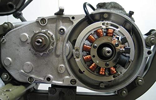 Powerdynamo (MZ-B) VAPE Ignition Stator System Compatible with Tourist Rotax Motor Sachs DC