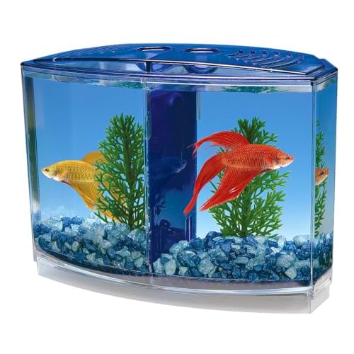 Penn-Plax Twin Betta Bow-Front Kit for Aquarium Blue, Green, Tank is 7.5″ Across The Front, 6″ Across The Back