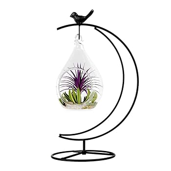 Fosinz CXLE Ornament Display Stand, Ornament Stand Holder Iron Pothook Stand For Hanging Glass Globe Air Plant Terrarium Witch Ball Christmas Ornament And Home Wedding Decoration 1 13 8x5 Black