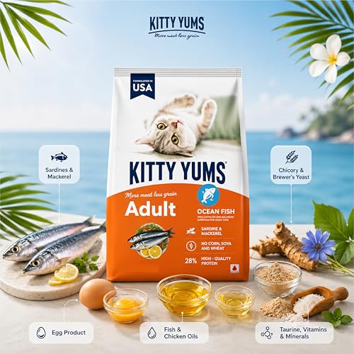 Image of Kitty Yums Adult (+1 Year) Dry Cat Food 1.2kg Pack | Ocean Fish Flavour | Develop Strong Bones | Healthy Skin & Coat | Supports Digestive System | Maintains a Healthy Heart