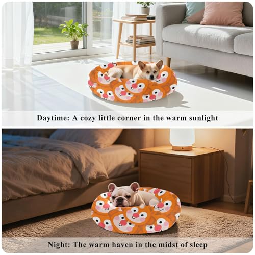 Lit pour chat orange taille M pour offrir du bonheur à votre félin