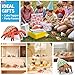 THINKBAY 6PCS Hermit Crab Figurines Toys,Ocean Sea Animals Toys Figures, Realistic Soft Sea Creatures Toys for Kids Boys Girls,Birthday Gifts Cake Toppers Decoration for Toddlers Boys Girls