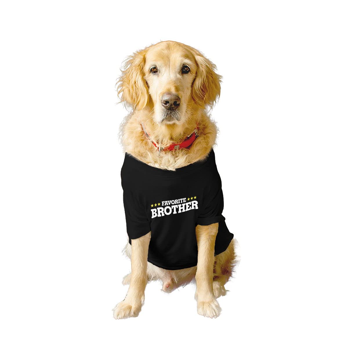 Ruse Basic Crew Neck Favourite Brother Printed Half Sleeves/Apparel/Clothes/T-Shirt Gift for Dogs.Colour-Black/Medium (Chubby Pugs, Beagle etc.) (B09799TH5X) Amazon Price History, Amazon Price Tracker