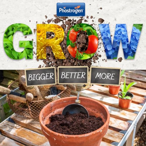 Phostrogen All Purpose Plant Food, 800g - Plant and Edibles Fertiliser Feed - for Promoting Healthy Growth - Improves Drought Resistance - Plant Nutrition - Indoor and Garden Use (Pack of 2)