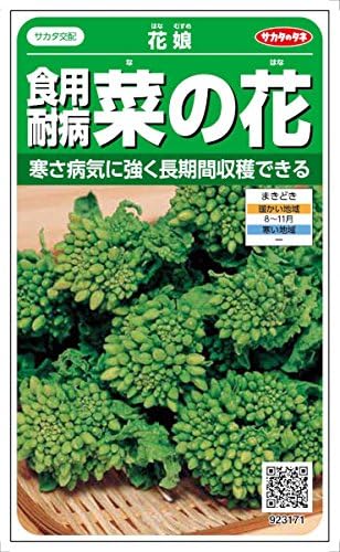 Amazon サカタのタネ 食用耐病菜の花 花娘 野菜