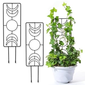 Moon Phase Plant Trellis 3 Pack, 14.25 Inch Small Trellis for Potted Plants, Metal Plant Trellis for Climbing Plants Indoor, Black Moon Phase Plant Trellis 3 Pack 1425 Inch Small Trellis for Potted Plants Metal Plant Trellis for Climbing Plants Indoor Black