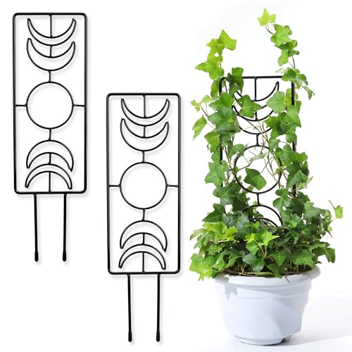 Moon Phase Plant Trellis 3 Pack 1425 Inch Small Trellis for Potted Plants Metal Plant Trellis for Climbing Plants Indoor Black