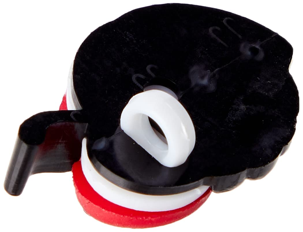 Photos Oiseau Multicolore, 86 000+ Photos De Haute Qualité Gratuites