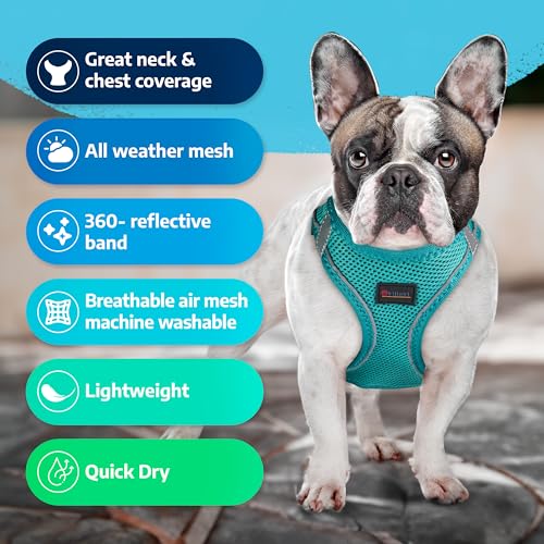 Filbert Dog Harness Medium Sized Dog, Step-in Reflective Dog Harness Medium Sized Dogs, Puppy Harness, Medium Dog Harness, Mesh Dog Vest Harness, Dog Harnesses, Best Harness for Dog, Neon Pink