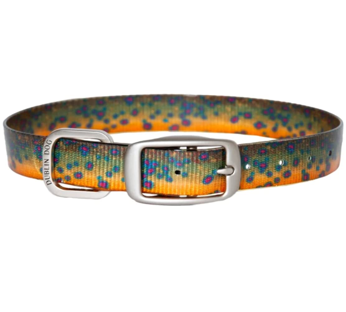 Dublin Dog Koa Collection Trout Series 17 by 21.5-Inch Dog Collar, Large, Brook Trout