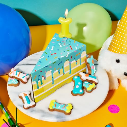 Image of Thoughtfully Pets, Dog Birthday Cake Mini Treats Gift Set, Includes 10 Ginger Flavored Mini Cookie Bones & Candle, Pet Celebration Treats for Puppy Parties or Gotcha Day