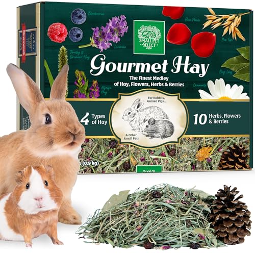 Small Pet Select - Gourmet Hay Pet Food, Exclusive Treat Hay, Flowers, and Herb Blend, for Rabbits, Guinea Pigs, Small Animals, 2lb