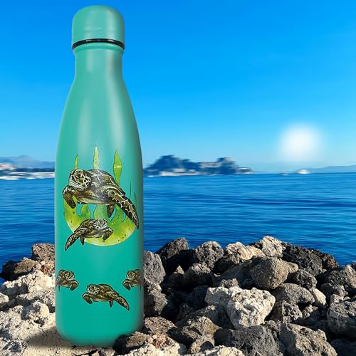 NatureVac, Sea Turtle 500ml Insulated Water Bottle from Deluxebase. Blue Stainless Steel Thermal Flask for Gym Office, Travel - Image 4