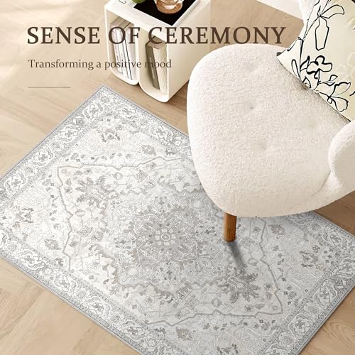 2x3 Small Entryway Doormat 2x3 Front Door Rug Indoor Entrance Kitchen Bathroom Carpet Farmhouse Non Slip Washable Low Pile Floor Carpet, Beige/Multi