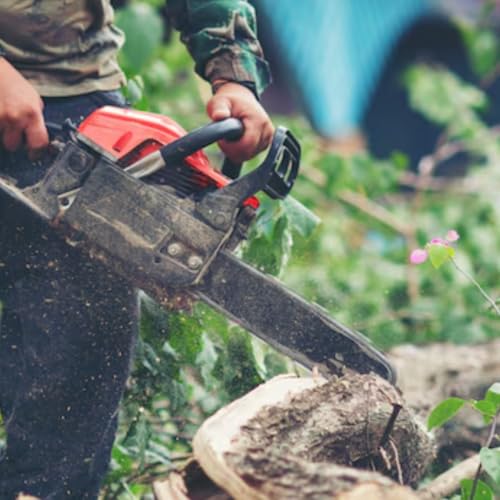 Kenwood Tree Service | Tree service in Cleveland OH Titelbild