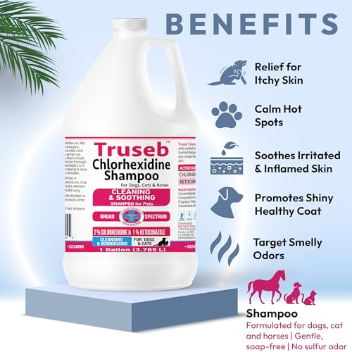 Truseb Topical Ketoconazole and Chlorhexidine Shampoo for Dogs, Cats & Horses Pleasantly Scented with a Cucumber Melon Scent with Aloe (Ketoconazole & Chlorhexidine Shampoo, 1 Gallon) - Image 6