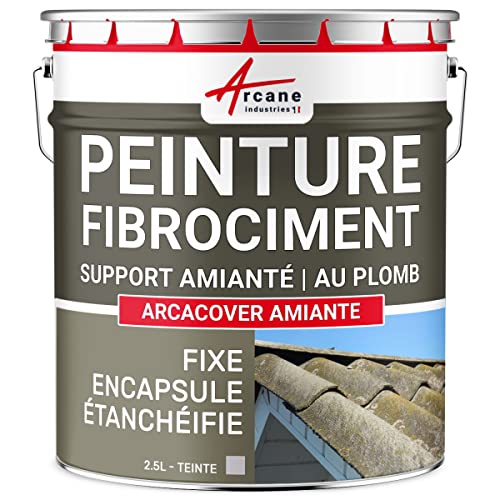 Peinture Fibrociment Amiante - Résine d'Encapsulage et Protection, Rénove et Protège Toiture Fibrociment, Imperméable et Durable - 2.5 L Gris - ARCANE...