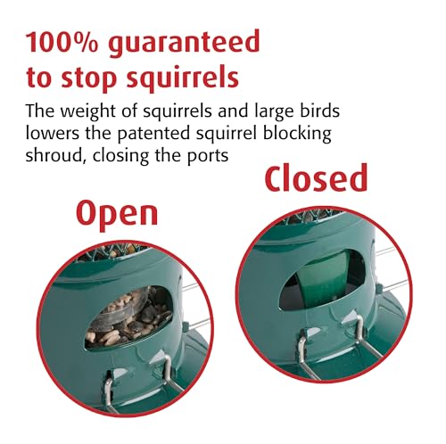 Squirrel Proof Bird Feeder for Seeds - Jacobi Jayne® Squirrel Buster® Bird Feeder – Metal Hanging Station for Garden Birds – Easy to Clean, Pigeon Resistant, Wild Bird Feeding Station