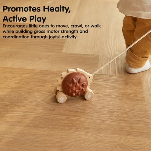 Image of PlanToys Wooden Pull Along Hedgehog | Montessori Pull Toy for Toddlers | Walking Toy with Sound, Early Learning, Balance & Coordination | Eco Friendly Wooden Toy