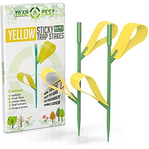 Houseplant Sticky Stakes - Yellow Sticky Traps for Gnats Indoor and Outdoor - Gnat Traps for House Plants (44 Traps) Cover
