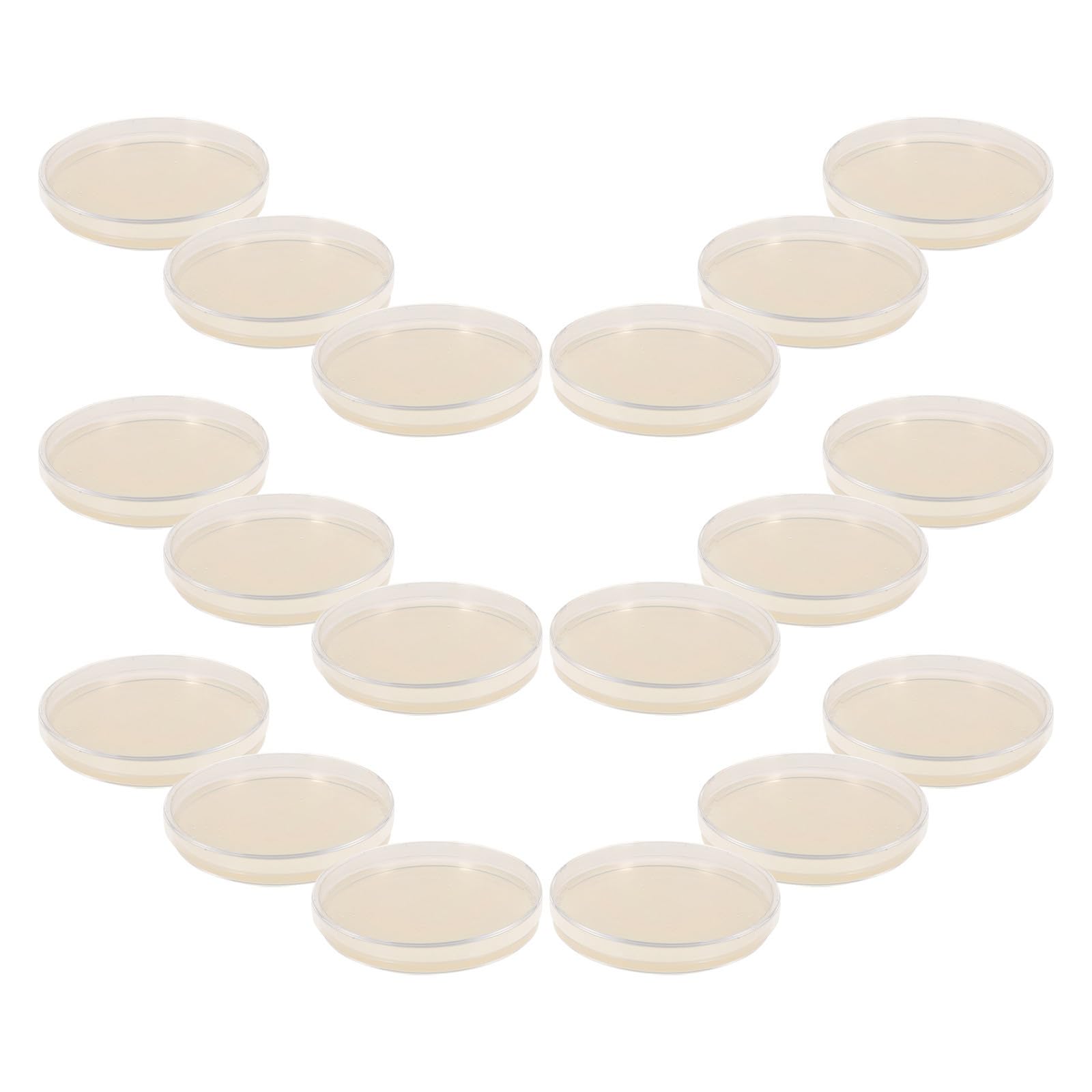 NUOBESTY Placas de Petri de Agar Beige Pre-vertidas 9cm para Cultivo Microbiológico 20 Unidades, Ideales para Proyectos Científicos y Pruebas Escolares