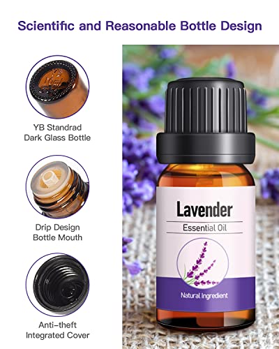 Ezbasics Lavender Essential Oil 100% Pure And Natural For Facial Steamer Home Diffuser Aromatherapy Making Candle Perfume 10Ml (1/3Oz) #TOP4