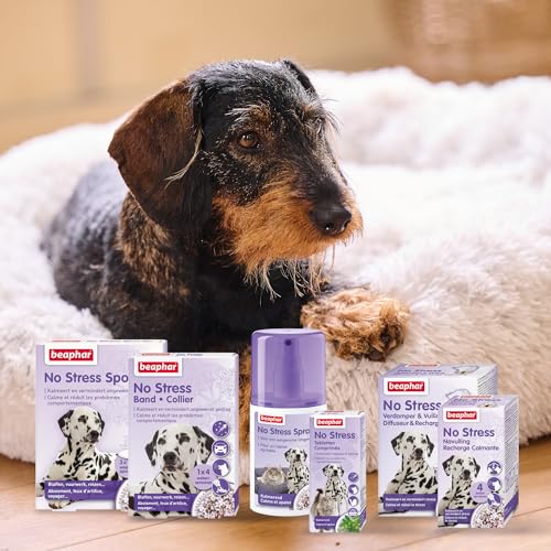 Beaphar 13902 No Stress Spot On Dog 3 Pipetten - Hilft bei stressigen Situationen wie Feuerwerk oder Gewitter - Ohne zu benommen - Mit natürlichen Kräutern - Jede Pipette ist eine Woche lang wirksam