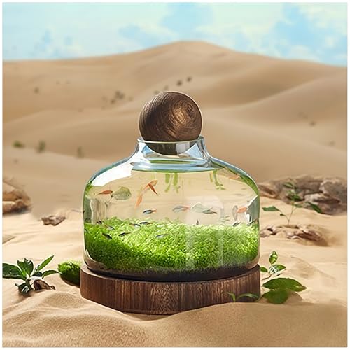 FYDN 金魚鉢 水槽ボトル 透明ガラス マイクロランドスケープ 木製トレイ 厚手エコボトル ランドスケープ魚鉢 水耕栽培 玄関装飾 生態飼育適透明ガラス金魚鉢景観兼用 住宅用室内水槽 (C型)