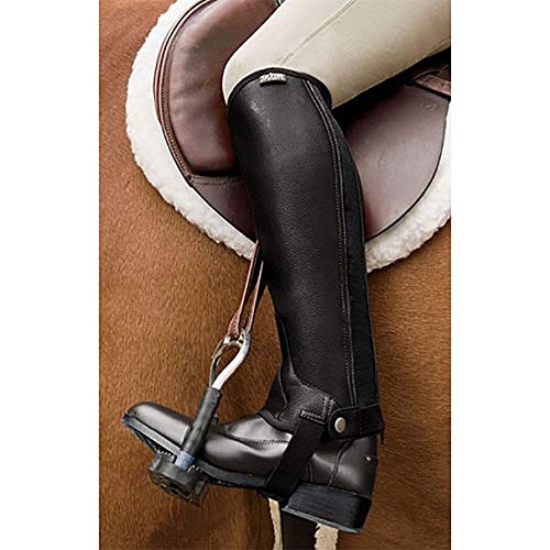 Saxon Women\'s Equileather Half Chaps, Black, Medium - Thumbnail 2