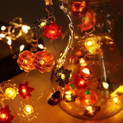 Yuelebuy 07 Thanksgiving Decoration 10Ft 30 Led 3D Pumpkin Maple Acorn Leaf String Lights Battery Operated Usb Plug Remote Timer Orange Fall Lights thumb #1