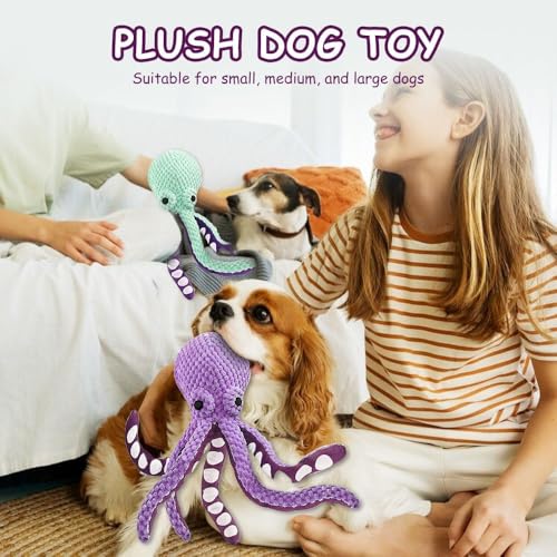 Jouets pour chiens indestructible et grinçant pack de 2 peluches