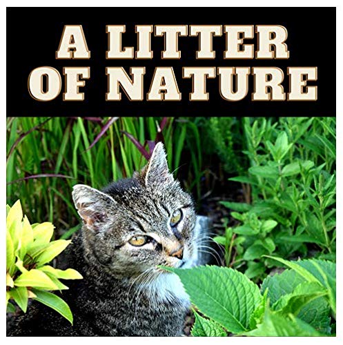 Greenwoods Katzenstreu, natürlich, 3 x 8 l