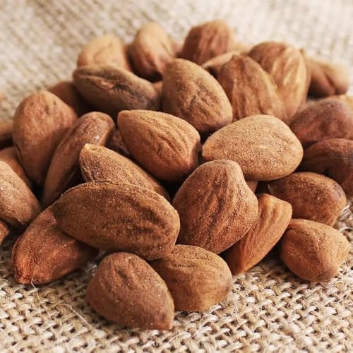  A[h 600gi200gx3܁j C^AY Ñ _sgp [[tF ibc  Y m[Xg `qg݊łȂ {[t[hi