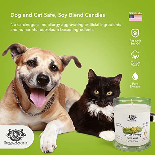 Pet Odor Eliminator Candle Detoxifying Lemongrass Scented Candle, Calming Candles Aromatherapy for Home Decor, Soy Wax Pet Candles Odor Eliminator for Animal Lover, Aromatherapy by Gerrard Larriett - Thumbnail 7